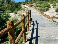 -白水寺森林公园