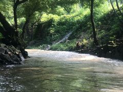 -天目湖松岭竹海漂流