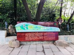 -成都市活水公园