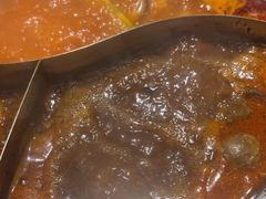 -蜀香居鲜毛肚火锅