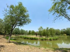 -东郊湿地公园