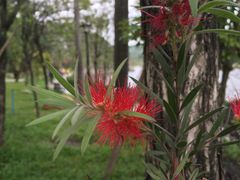 -南国桃园旅游度假区