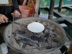 烤饵块-蔺大妈松花糕