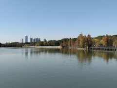 -海珠湖公园