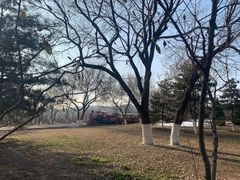 -永定河休闲森林公园