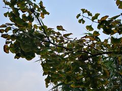 -白鹭湾湿地公园