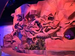 -珠海横琴国家地理探险家中心(创新方)