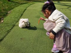 -上海佘山世茂艾美酒店