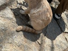 -四门塔风景区