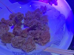 -纯K(打浦桥店)
