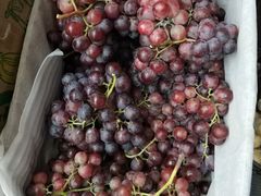 -白鹿原葡萄主题公园