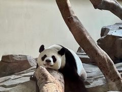 -宁波野生动物园