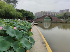 -金山公园