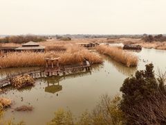 -下渚湖国家湿地公园科普馆