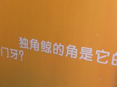 -烟台海昌鲸鲨海洋公园