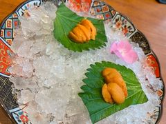 -月龍吟(朝龙汇店)