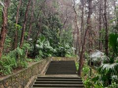 -铁山坪森林公园