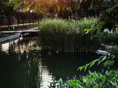 -三里河公园