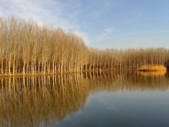 -东郊湿地公园