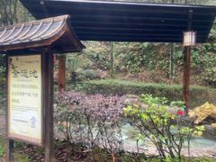 -明月山天沐温泉度假村