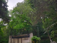-北极阁公园