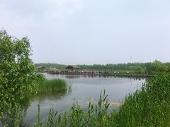 -溱湖国家湿地公园