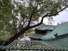 -茶源Fountain Lounge大堂吧·北京东方君悦大酒店