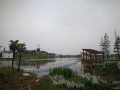 -金卉庄园