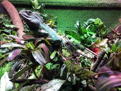 -上海海洋水族馆