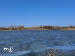-东郊湿地公园