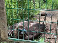 -日照灯塔风景区
