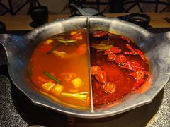 鸳鸯锅-湊湊火锅·茶憩(新中关购物中心店)