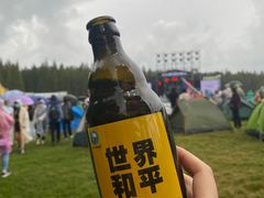 -黄海国家森林公园