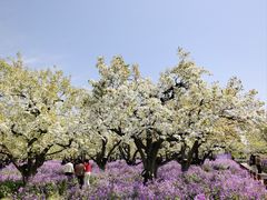 -江苏三台山国家森林公园