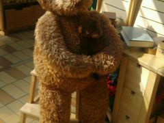 -济州岛泰迪熊博物馆