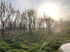 -东疆建设开发纪念公园