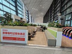 -郑州新郑国际机场-T2航站楼