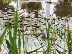 -芒洲湿地公园