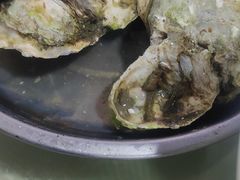 -林记海鲜排档·十年海鲜地标