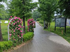 -国家植物园南园