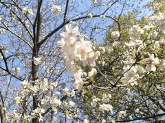 -玄武湖景区-情侣园游乐场