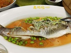 -金典银峰老鹅馆·昆山菜(亭林公园店)