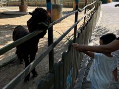 -石家庄市动物园