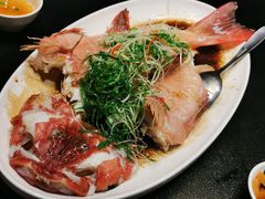 清蒸东星斑-老六海鲜城