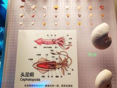 -深海中餐厅(国家海洋博物馆店)