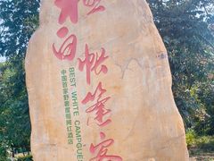 -帐篷客·溪龙茶谷度假酒店