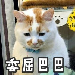 -babiline芭比莱恩半永久纹眉纹唇发际线