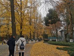 -四川大学(华西校区)