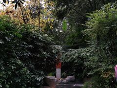 -融汇温泉