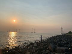 -宝安西湾红树林湿地公园